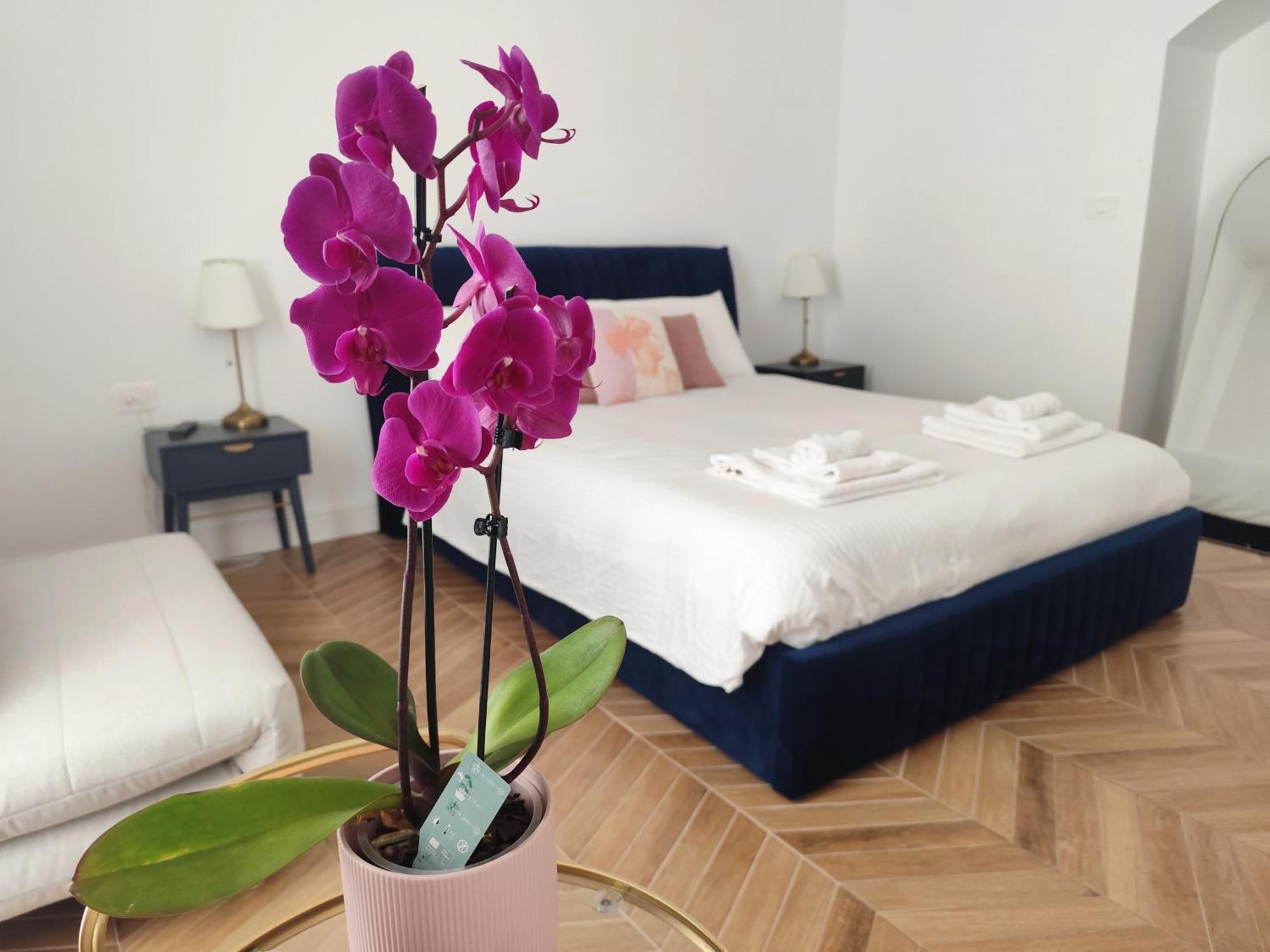 Vatican Eco Suite Roma Ngoại thất bức ảnh